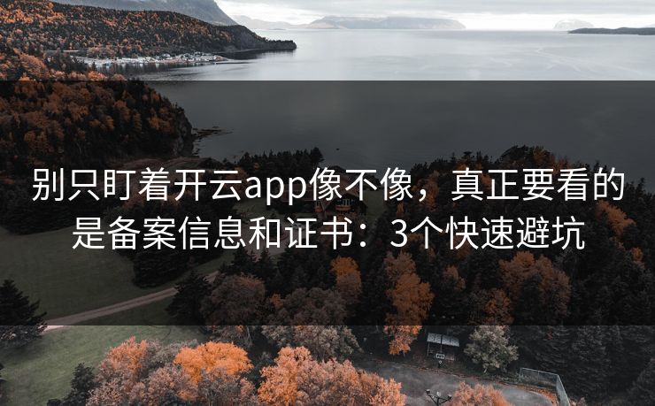 别只盯着开云app像不像，真正要看的是备案信息和证书：3个快速避坑