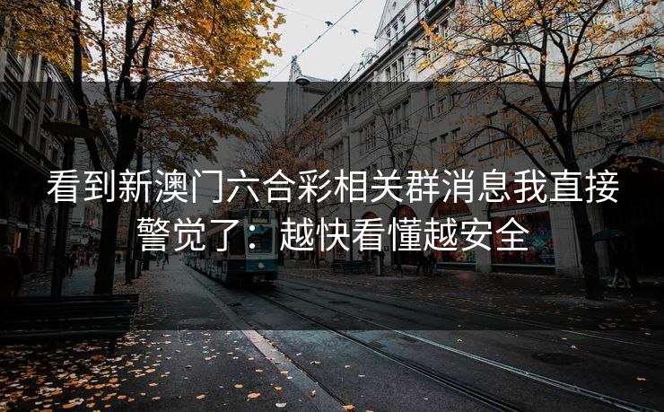 高级教练 - 林嘉敏